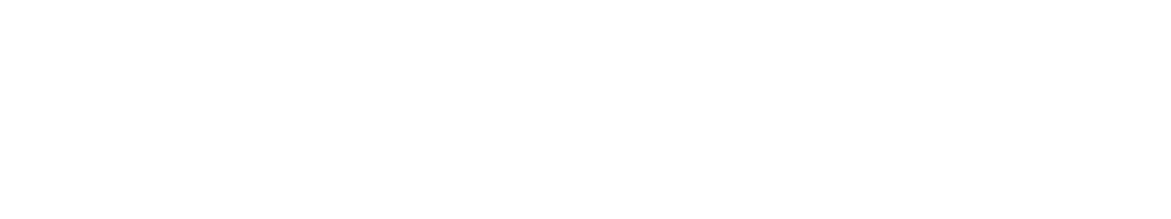 denimist